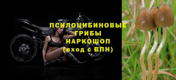прущая мука Верхний Тагил