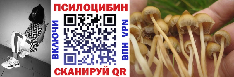 Галлюциногенные грибы прущие грибы  Купить  Нарьян-Мар 